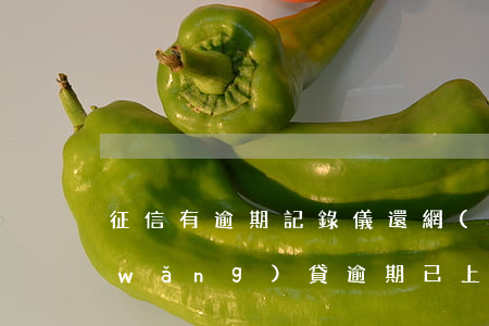 征信有逾期記錄儀還網(wǎng)貸(網(wǎng)貸逾期已上征信該怎么辦)