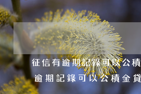 征信有逾期記錄可以公積金貸款嘛-征信有逾期記錄可以公積金貸款嘛