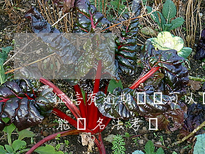 征信有逾期記錄可以參加法考嗎-征信逾期能報名法考嗎