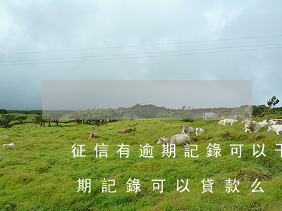 征信有逾期記錄可以干什么工作-征信有逾期記錄可以貸款么