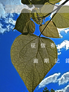 征信有逾期記錄可以申請信用卡么-征信有逾期記錄可以申請信用卡么