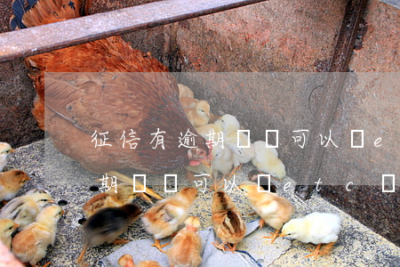 征信有逾期記錄可以辦etc嗎-征信有逾期記錄可以辦etc嗎