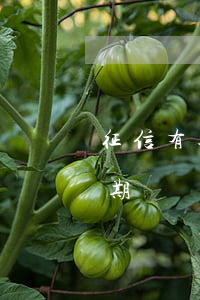征信有逾期記錄對以后有影響嗎-征信有逾期記錄對以后有影響嗎知乎