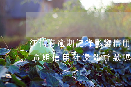 征信有逾期記錄影響信用社錄用嗎-征信有逾期信用社還能貸款嗎?