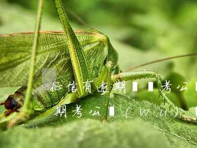 征信有逾期記錄考公過不了政審-征信有逾期考公務(wù)員有影響嗎