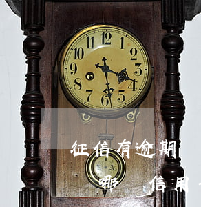 征信有逾期記錄辦信用卡（征信有逾期記錄申請哪個信用卡好）