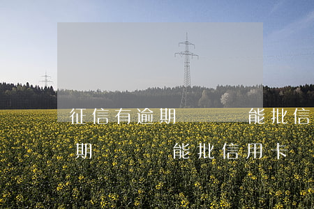 征信有逾期記錄還能批信用卡嗎-征信有逾期記錄還能批信用卡嗎怎么辦