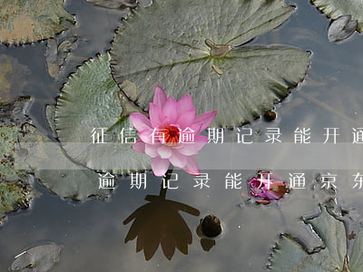 征信有逾期记录能开通京东白条吗-征信有逾期记录能开通京东白条吗安全吗