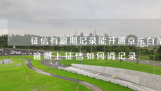 征信有逾期记录能开通京东白条吗(京东白条逾期上征信如何消记录)