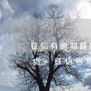征信有逾期貸款客服經(jīng)理要好處-征信客服好做嗎