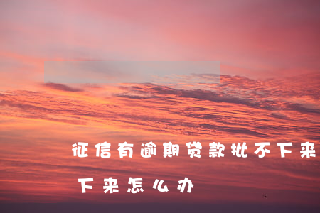 征信有逾期贷款批不下来(贷款因为征信批不下来怎么办)