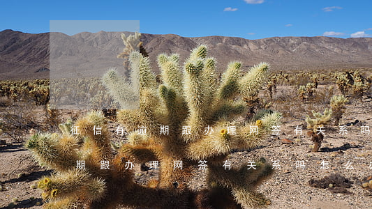 征信有逾期跟办理网签有关系吗-征信有逾期跟办理网签有关系吗怎么办