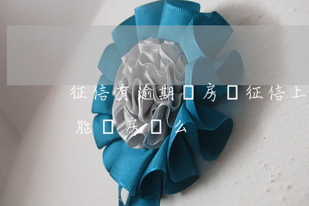 征信有逾期辦房貸(征信上有信用卡逾期記錄能辦房貸么)