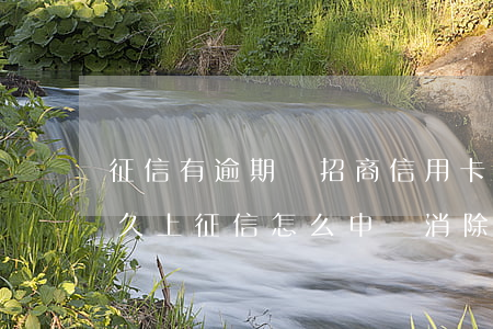 征信有逾期辦招商信用卡(招商信用卡逾期多久上征信怎么申請消除)