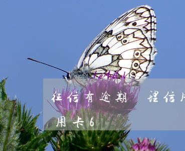 征信有逾期辦理信用卡6(征信有逾期辦理信用卡6)