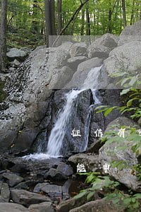 征信有逾期辦理信用卡浦發(fā) 有逾期能申請浦發(fā)信用卡