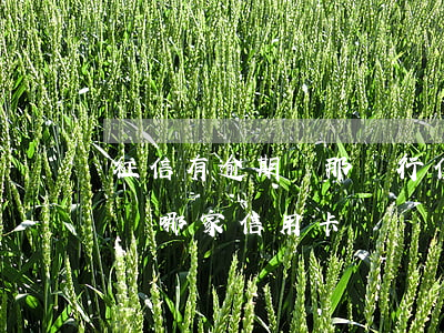 征信有逾期辦那個行信用卡(征信有逾期可以辦哪家信用卡)