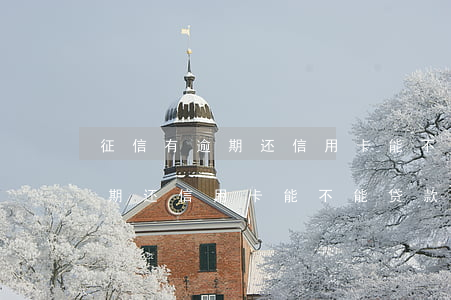 征信有逾期还信用卡能不能贷款-征信有逾期还信用卡能不能贷款买房子