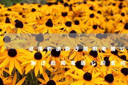 征信有逾期还能用老婆公积金吗-征信有逾期还能用老婆公积金吗
