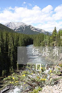 征信有逾期過(guò)年了在哪里可以申請(qǐng)-征信有逾期過(guò)年了在哪里可以申請(qǐng)貸款
