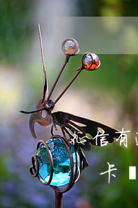 征信有逾期過(guò)能辦理公務(wù)卡嗎(公務(wù)員卡逾期幾天上征信不?)
