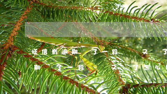 征信有逾期過了一段時間又沒了-征信有逾期過了一段時間又沒了怎么回事