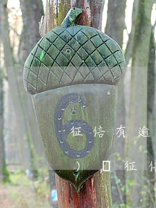 征信有逾期還可以買(mǎi)車(chē)嗎（征信有逾期能買(mǎi)運(yùn)營(yíng)車(chē)嗎）