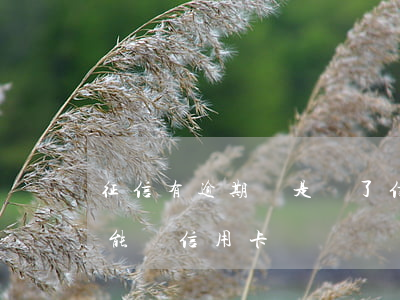 征信有逾期還是辦了信用卡(征信上有過逾期能辦信用卡嗎)