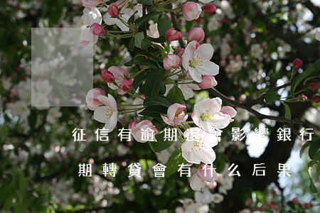 征信有逾期還會影響銀行轉貸嗎（銀行貸款逾期轉貸會有什么后果）