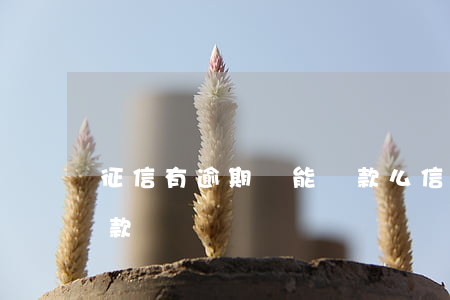 征信有逾期還能貸款么(信用卡有逾期還能貸款嗎)