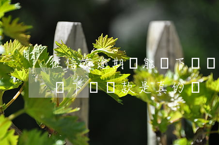 征信有逾期還能辦下來貸款 征信有逾期還能辦下來貸款是真的嗎