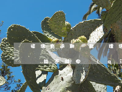 征信有逾期還能辦理信用卡嗎(有逾期上征信還能不能申請(qǐng)信用卡)