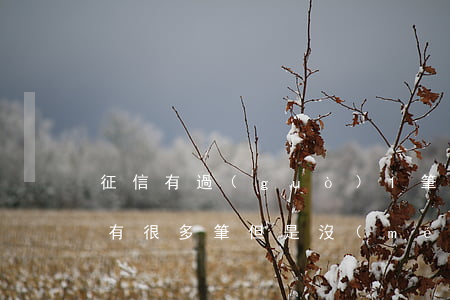 征信有過(guò)1筆貸款逾期(征信借款有很多筆,但是沒(méi)逾期)