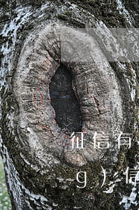 征信有過(guò)逾期還能申請(qǐng)信用卡嗎(征信逾期還能辦信用卡)
