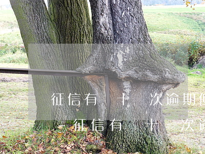 征信有過十幾次逾期但是已結(jié)清-征信有過十幾次逾期但是已結(jié)清怎么辦