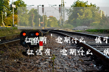 征信有過逾期什么時候可以恢復(fù)-征信有過逾期什么時候可以恢復(fù)正常