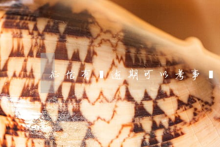 征信有過逾期可以考事業(yè)單位嗎-