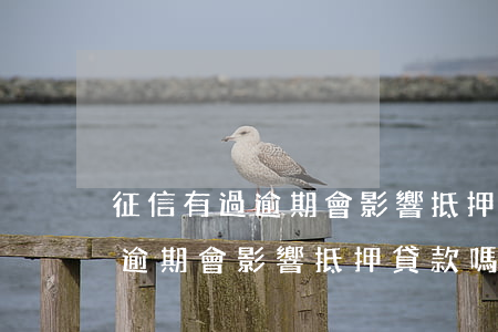 征信有過逾期會影響抵押貸款嗎-征信有過逾期會影響抵押貸款嗎知乎