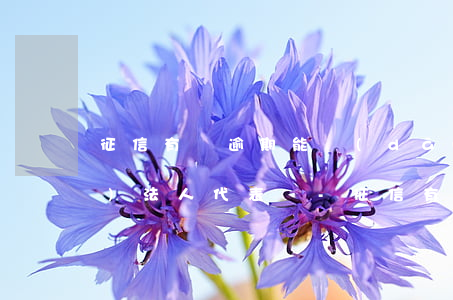 征信有過逾期能當(dāng)企業(yè)法人代表嗎-征信有過逾期能當(dāng)企業(yè)法人代表嗎知乎