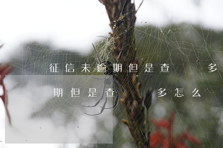 征信未逾期但是查詢過多怎么辦-征信未逾期但是查詢過多怎么辦呢