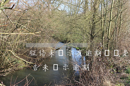 征信未顯示有逾期記錄是征信好嗎-征信報告未顯示逾期
