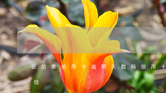 征信查信用卡逾期天数吗(信用卡逾期多久征信)