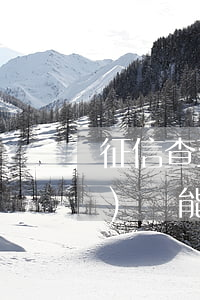 征信查到一個(gè)逾期的網(wǎng)貸能貸款嗎（征信查到一個(gè)逾期的網(wǎng)貸）
