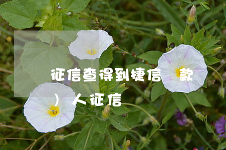 征信查得到捷信貸款記錄(捷信查詢個(gè)人征信)