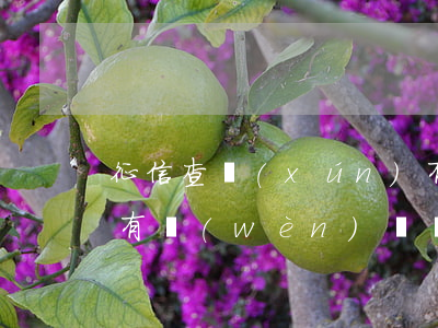 征信查詢(xún)有5個(gè)月逾期有問(wèn)題嗎-征信查詢(xún)有5個(gè)月逾期有問(wèn)題嗎怎么辦