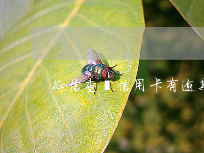 征信查詢信用卡有逾期記錄