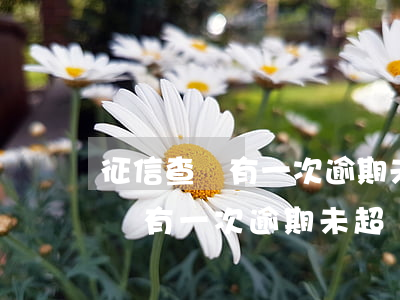 征信查詢有一次逾期未超過90天-征信查詢有一次逾期未超過90天怎么辦