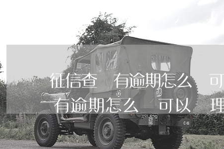 征信查詢有逾期怎么辦可以處理-征信查詢有逾期怎么辦可以處理嗎