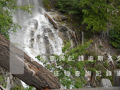 征信查詢記錄逾期多久就能查出來(lái)-征信查詢記錄逾期多久就能查出來(lái)了