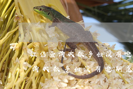 征信查询次数多但没有逾期怎么办-征信查询次数多但没有逾期怎么办呢